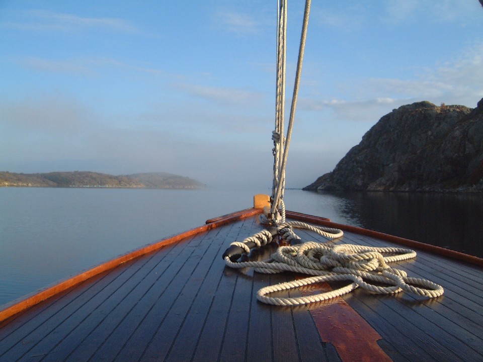 Andunge på havet